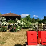 Gaestehaus Altes Forstamt Prázdninový dům *