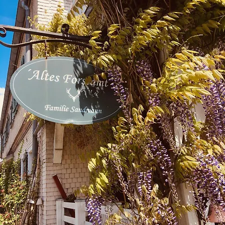 Gaestehaus Altes Forstamt