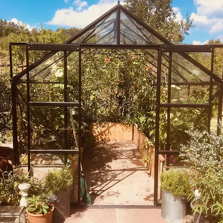 Gaestehaus Altes Forstamt *