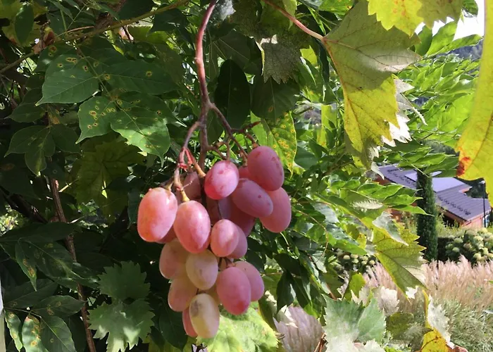 Gaestehaus Altes Forstamt Дом отдыха *