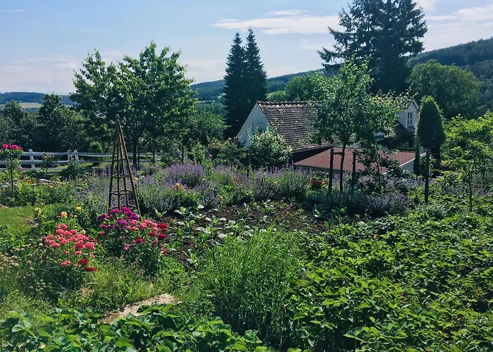 Gaestehaus Altes Forstamt Sinntal