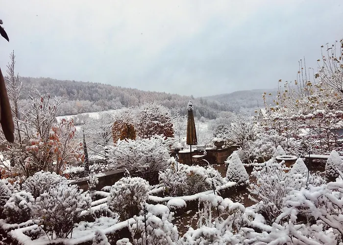 Gaestehaus Altes Forstamt