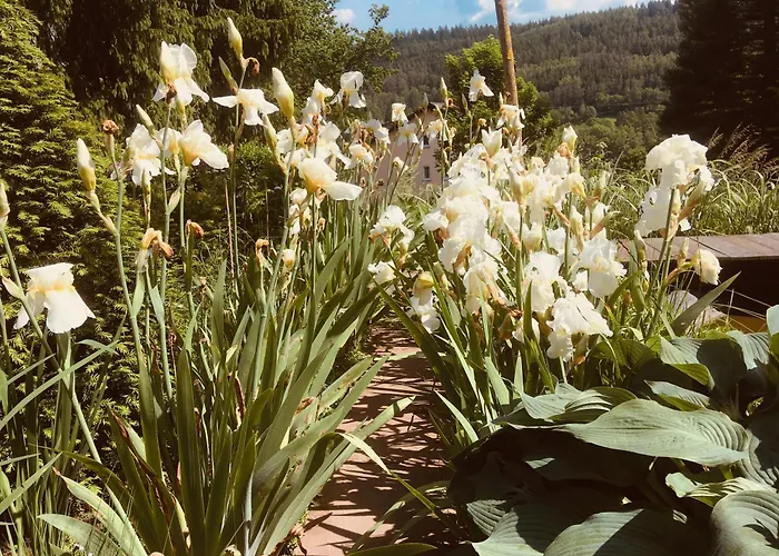Дом отдыха Gaestehaus Altes Forstamt Sinntal