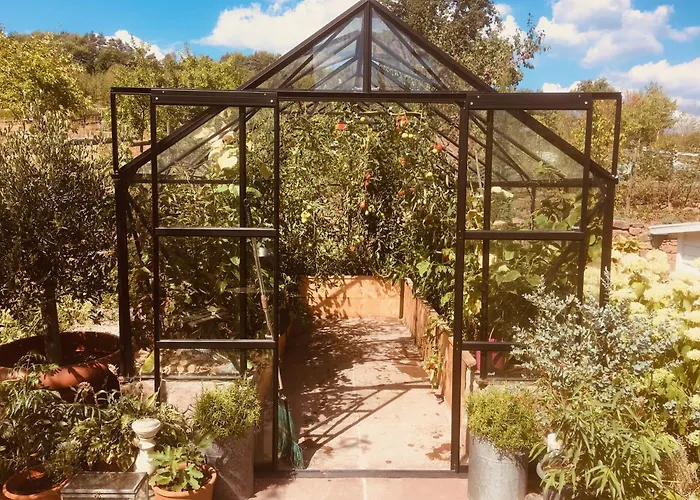 Gaestehaus Altes Forstamt *