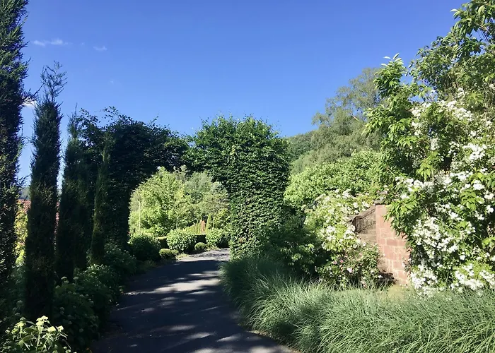 Gaestehaus Altes Forstamt Дом отдыха *