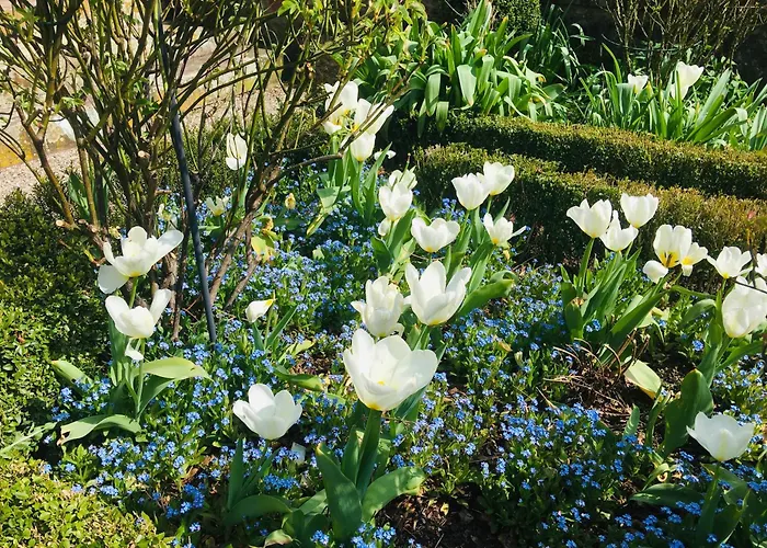 Gaestehaus Altes Forstamt Дом отдыха