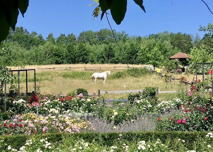 Gaestehaus Altes Forstamt * Sinntal